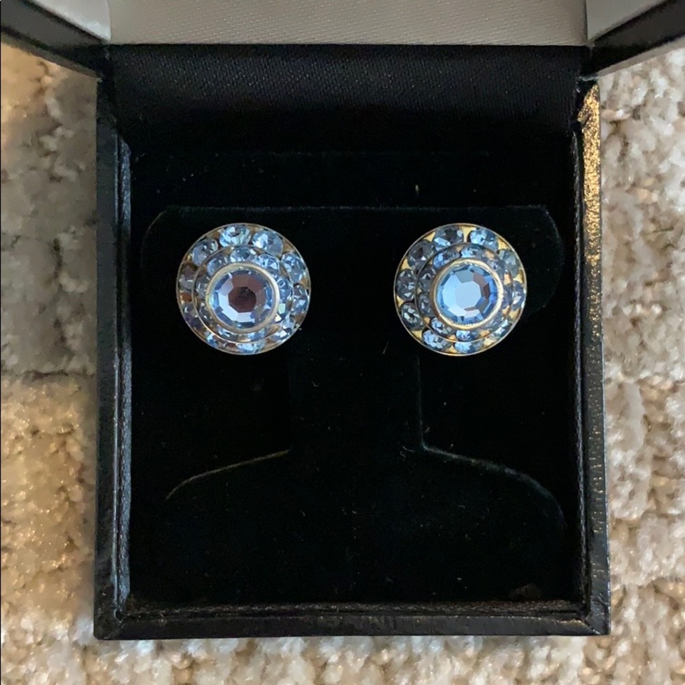 Beautiful blue earrings